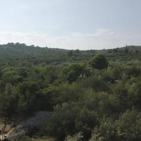 With Parking Space Cove Mala Lamjana, Ugljan - 350