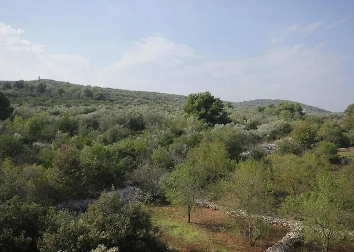 With Parking Space Cove Mala Lamjana, Ugljan - 350 Lägenhet Kali